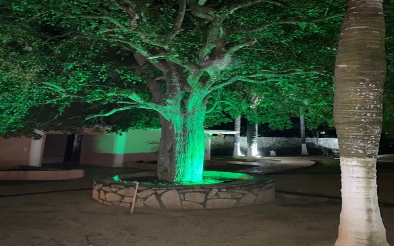 LOS CAVAZOS, Nuevo León, ,Casa Habitación,Venta,LOS CAVAZOS,1016