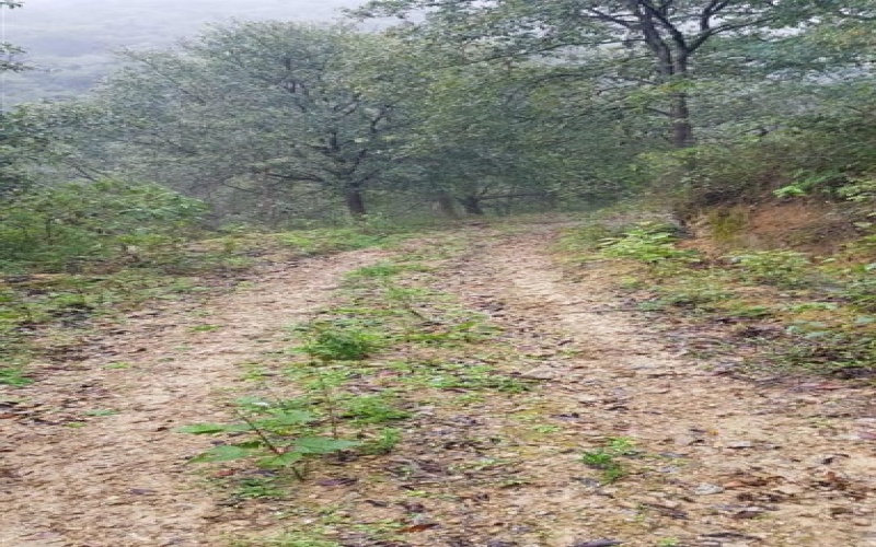 EL RANCHITO SANTIAGO N.L., Nuevo León, ,Terreno Campestre,Venta,EL RANCHITO SANTIAGO N.L.,1017