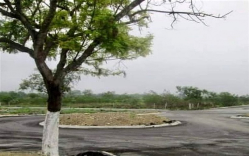 Fracc EL Castillo, Nuevo León, ,Terreno Campestre,Venta,Fracc EL Castillo ,1027