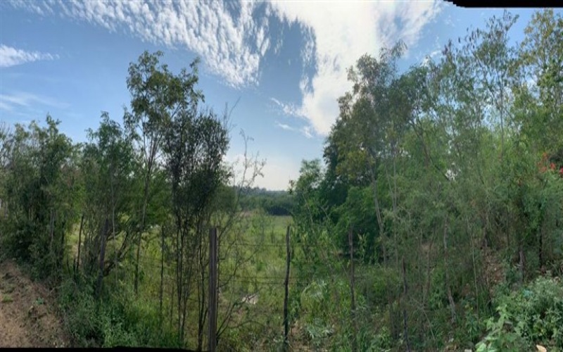 El Barranquito, Nuevo León, ,Terreno Campestre,Venta,El Barranquito ,1028