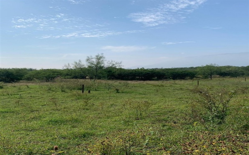 El Barranquito, Nuevo León, ,Terreno Campestre,Venta,El Barranquito ,1028