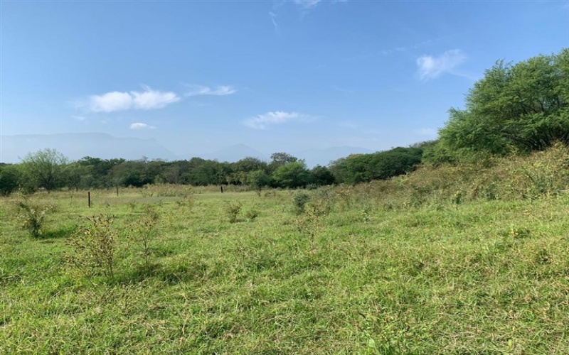 El Barranquito, Nuevo León, ,Terreno Campestre,Venta,El Barranquito ,1028