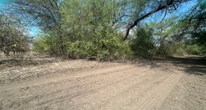 EJIDO LA PURISIMA GENERAL TERAN, Nuevo León, ,Terreno Campestre,Venta,GENERAL TERAN, ,1029