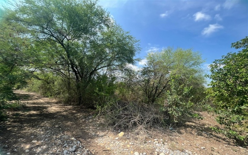 EJIDO LA PURISIMA GENERAL TERAN, Nuevo León, ,Terreno Campestre,Venta,GENERAL TERAN, ,1029