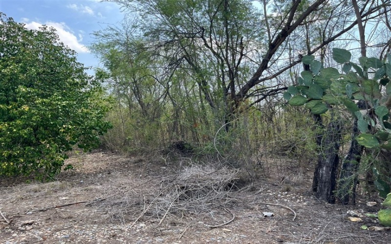 EJIDO LA PURISIMA GENERAL TERAN, Nuevo León, ,Terreno Campestre,Venta,GENERAL TERAN, ,1029