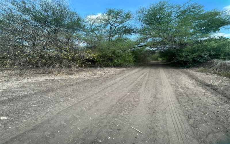 EJIDO LA PURISIMA GENERAL TERAN, Nuevo León, ,Terreno Campestre,Venta,GENERAL TERAN, ,1029