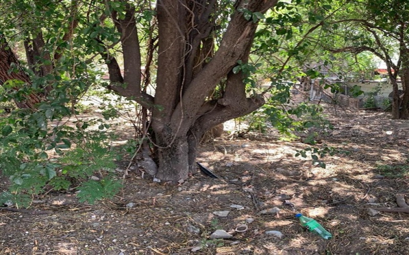 Centro San Nicolás de Los Garza, Nuevo León, ,Local Comercial,Venta,San Nicolás de Los Garza,1031