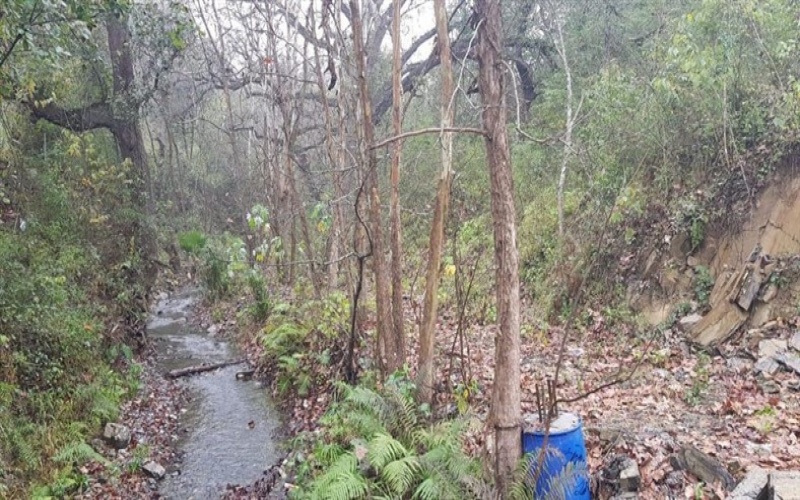 El Ranchito Santiago Nl, Nuevo León, ,Terreno Campestre,Venta,El Ranchito Santiago Nl,1034